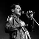 Died 1991, age 45 Freddie Mercury was a British singer, songwriter and producer, best known as the lead vocalist and lyricist of the rock band Queen.