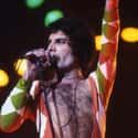 Freddie Mercury on Random Greatest Gay Icons In Music