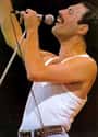 Freddie Mercury on Random Gay Celebrities Who Never Came Out