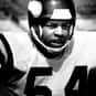 Fred McNeill is listed (or ranked) 11 on the list The Best Minnesota Vikings Linebackers of All Time