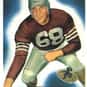 Fred Wallner is listed (or ranked) 15 on the list The Best Arizona Cardinals Linebackers of All Time
