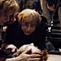 Fred Weasley on Random Brutal Deaths in Harry Pott
