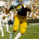 Freeman McNeil is listed (or ranked) 8 on the list The Best UCLA Football Players of All Time