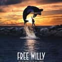 Free Willy on Random Greatest Kids Movies of 1990s