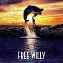 Free Willy on Random Best Family Movies Rated PG