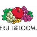 Fruit of the Loom on Random Best T-Shirt Brands