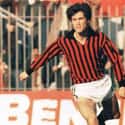 Fulvio Collovati on Random Best Soccer Defenders
