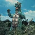 Gabara on Random Best Monsters From The 'Godzilla' Movies
