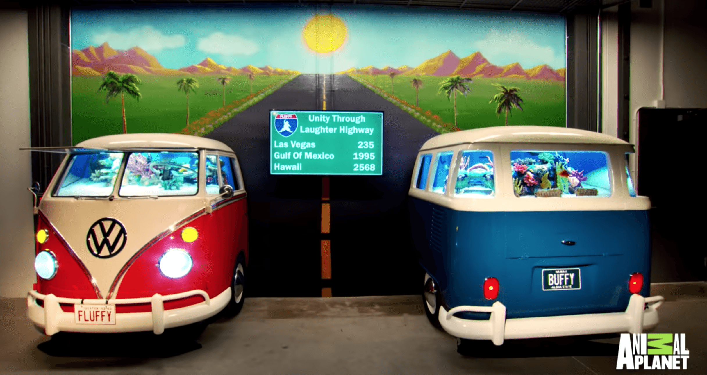 Celebrities With Fish Tanks Famous People Who Have Aquariums