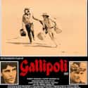 Gallipoli on Random Best Movies Set in Australia