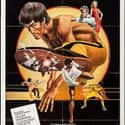 The Game of Death on Random Best MMA Movies About Fighting
