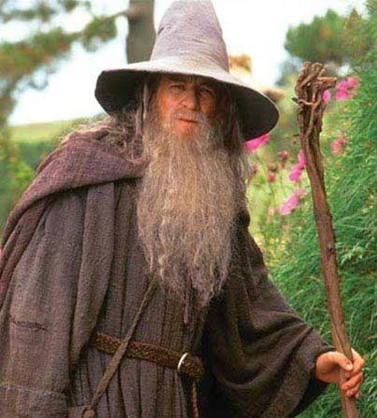 Gandalf In 'The Lord Of The Rings'