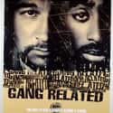 Gang Related on Random Best Black Movies