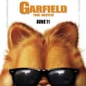 Jennifer Love Hewitt, Bill Murray, Debra Messing   Released: 2004 Garfield: The Movie, or simply Garfield, is a 2004 American live-action comedy film directed by Peter Hewitt based on the Jim Davis comic strip of the same name.