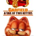 Jennifer Love Hewitt, Bill Murray, Tim Curry   Released: 2006 Garfield: A Tail of Two Kitties is a theatrical sequel to the 2004 live-action comedy film Garfield: The Movie.
