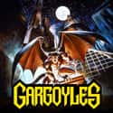 Gargoyles on Random Best Adult Animated Shows