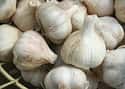Garlic on Random Healthiest Superfoods