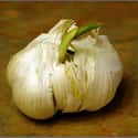 Garlic on Random Best Things to Put in Ramen