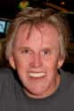 Gary Busey on Random Celebrities Who Have Been Charged With Domestic Abuse