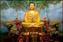 Buddha on Random Most Influential People