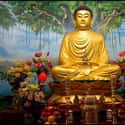 Buddha on Random Most Influential People