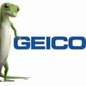 GEICO on Random Best Car Insurance Companies