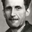 George Orwell on Random Cherished Recipes From History's Most Famous Figures