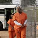 Madea Goes to Jail on Random Best Prison Movies