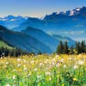 Georgia is listed (or ranked) 8 on the list We Know Where You Want to Travel This Summer, Based on What State You Live In