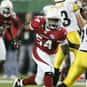 Gerald Hayes is listed (or ranked) 10 on the list The Best Arizona Cardinals Linebackers of All Time