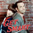 Get Smart on Random TV Shows Canceled Before Their Time