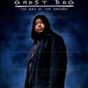 Ghost Dog: The Way of the Samurai on Random Great Movies About Sad Loner Characters