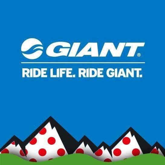 biggest bicycle brands