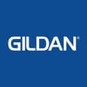 Gildan Activewear on Random Best T-Shirt Brands