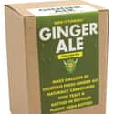 Ginger ale on Random Very Best Flavors Soda Can B