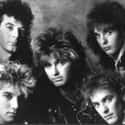 Glass Tiger on Random Best Bands With Animal Names