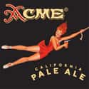 Acme California Pale Ale on Random Best American Beers