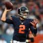 Brian Hoyer is listed (or ranked) 24 on the list The Best Arizona Cardinals Quarterbacks of All Time