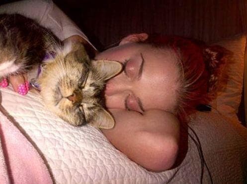 Кошка и хозяин. Коты спят с хозяевами. Кот хозяин на кровати. Мужчина с котом. Котик лежит на девушке.