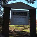 Benziger Family Winery on Random Best Wineries in Sonoma Valley