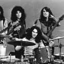 Blues-rock, Pop music, Nederpop   Golden Earring is a Dutch rock band, founded in 1961 in The Hague as the Golden Earrings.
