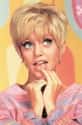 Goldie Hawn on Random Most Beautiful Women Of The '60s