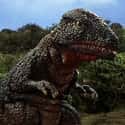 Gorosaurus on Random Best Monsters From The 'Godzilla' Movies