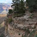Grand Canyon National Park on Random Best National Parks in the USA