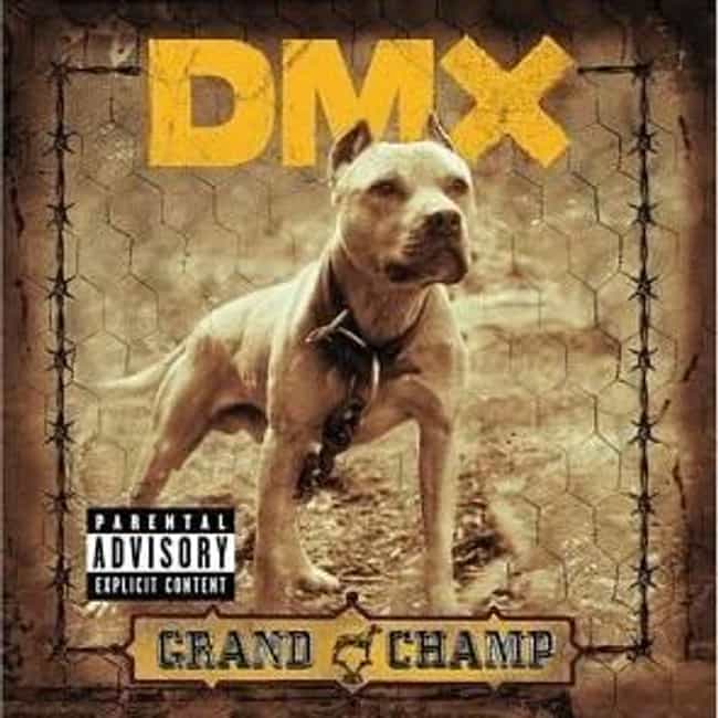 dmx albums track listings