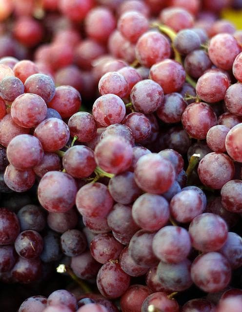 Grapes