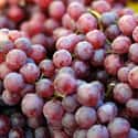 Grape on Random Most Delicious Fruits