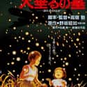 Grave of the Fireflies is a 1967 semi-autobiographical novel by Japanese novelist Akiyuki Nosaka. It is based on his experiences before, during, and after the firebombing of Kobe in 1945.