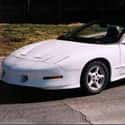 1995 Pontiac Firebird Convertible on Random Best Pontiacs