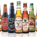 Yuengling Premium Beer on Random Best Beer Brands